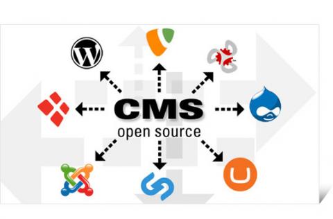 What Is a CMS? All You Need to Know About Content Management Systems